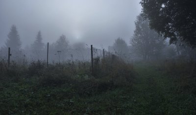 Утренний туман в деревне