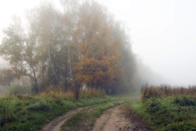 Туманное осеннее утро в деревне
