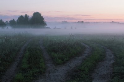 Утренний туман в деревне