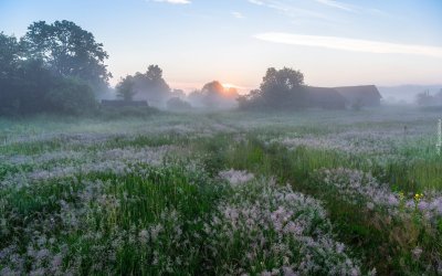 Утренний туман в деревне