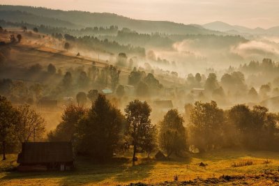 Туманное утро в деревне