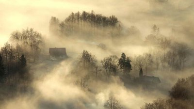 Туманное утро в деревне