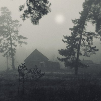 Деревенский домик в тумане