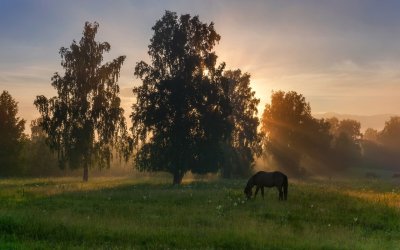 Деревенские тропинки Марий Эл