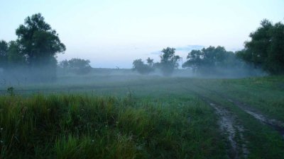 Пасмурное летнее утро