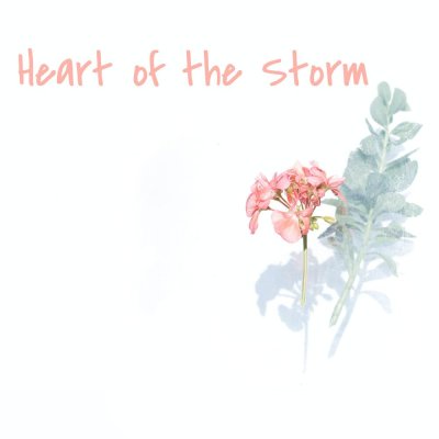 Цветы на белом фоне Минимализм