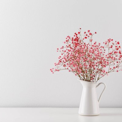 Цветы гипсофилы Эстетика