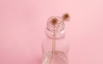 Минималистичные цветы