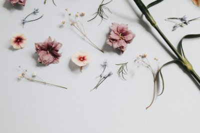 Розовые цветы Минимализм