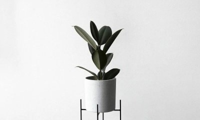 Цветочные горшки в стиле Минимализм