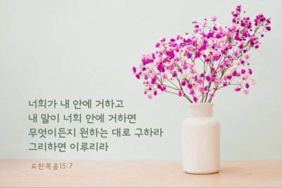 Розовые цветы фон