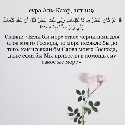 Цветочки Минимализм