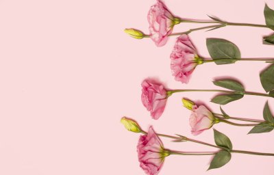 Цветы на Светлом фоне