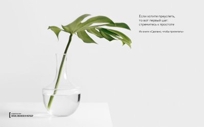 Растения на белом фоне