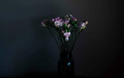 Цветы на черном фоне