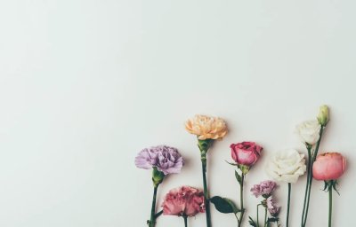 Розовые цветы Минимализм