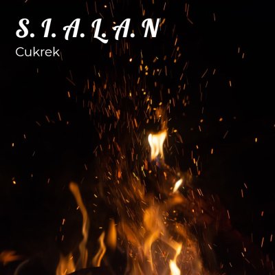 Темный огонь