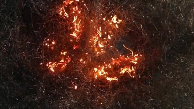 Огненный пепел