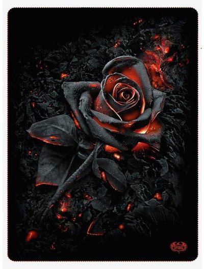Красно черные цветы