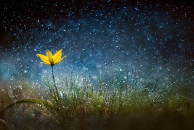 Весенняя ночь