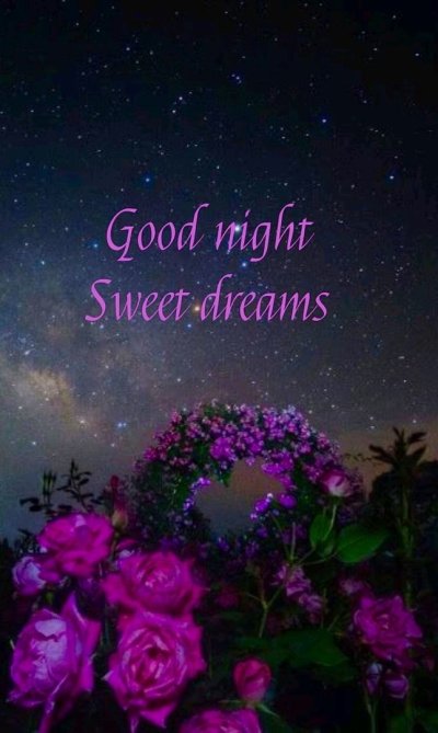 Красивые ночные цветы