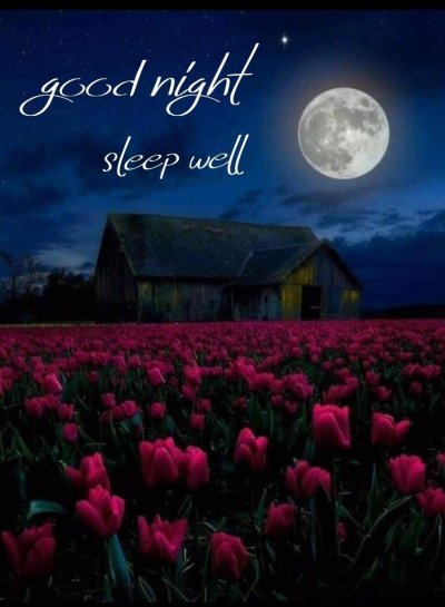 Красивые поля с цветами ночью