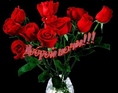 Доброй ночи с розами