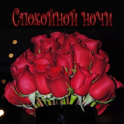 Пожелание спокойной ночи с букетом роз