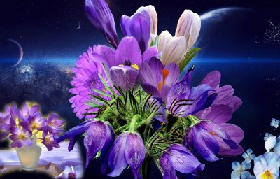 Красивые ночные цветы