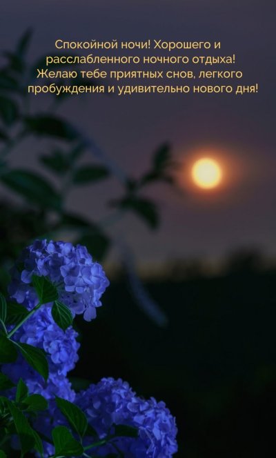 Цветы в лунном свете