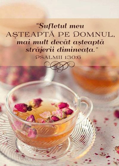 Сочетание цветов в еде