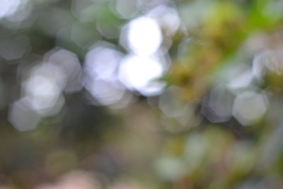 Серый размытый фон