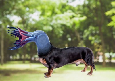 Размытый задний фон