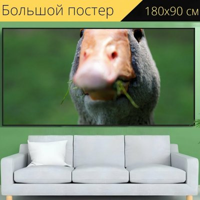 Смешной Гусь