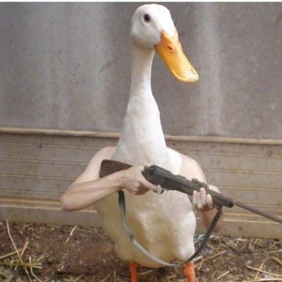 Прикольный Гусь