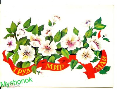Первомай цветы