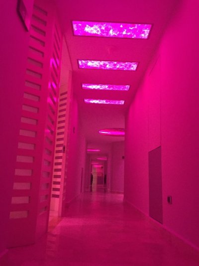 Эстетика неонового розового