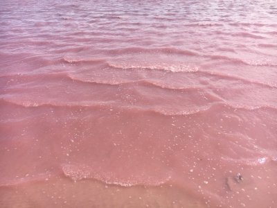 Эстетика розового цвета