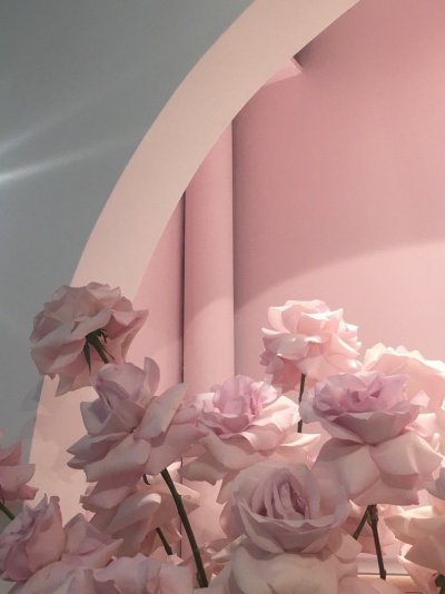 Эстетика нежно розового цвета