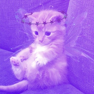 Животные с фиолетовой кровью