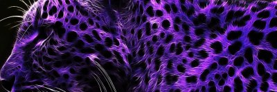 Красивые чёрные обои