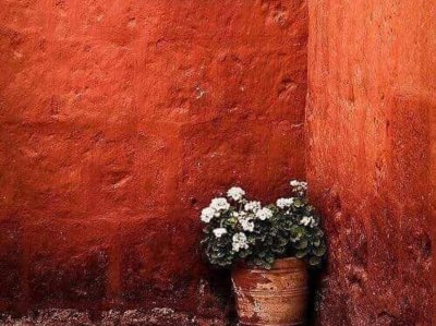 Терракотовый цвет в природе