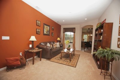 Терракотовый цвет стен в интерьере