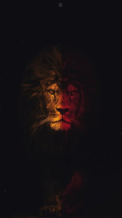 Лев на черном фоне