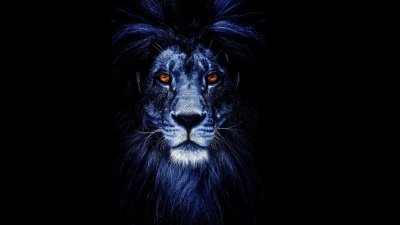Обои на рабочий стол Лев