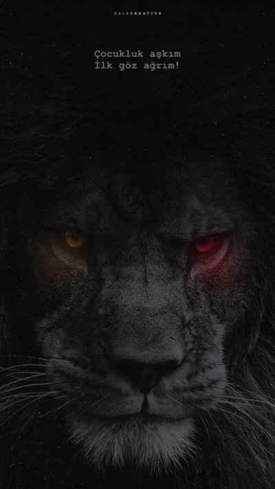 Черный Лев на черном фоне