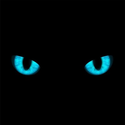 Голубые глаза в темноте