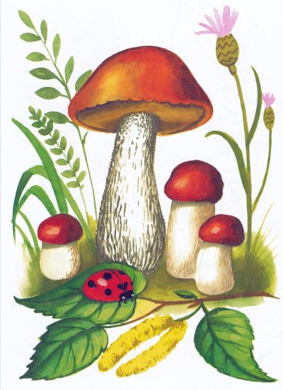 Рисунки грибов для детей
