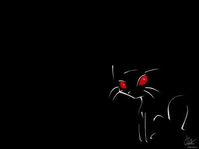 Кошка на черном фоне