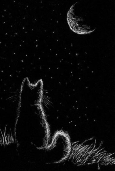 Рисунки белым по черному